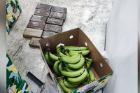Русија: Пронађено 60 килограма кокаина у пошиљци банана