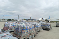 Srbija šalje humanitarnu pomoć stanovnicima Gaze, prvi avion kreće danas