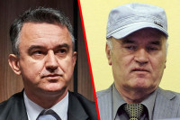 Дарко Младић: Генералу отказали бубрези, одбијен захтјев да га пребаце на лијечење у Београд