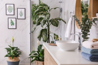 Три биљке које треба држати у купатилу, обожавају влагу и свјетлост