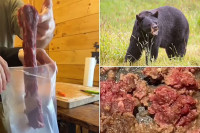 Šestočlana porodica dobila „moždanog crva“ od mesa crnog medvjeda