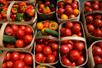 Kako razlikovati pravi domaći paradajz i onaj iz plastenika?