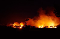 Požar kod Splita, do sada izgorjelo 12 hektara niskog rastinja i borove šume