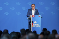 AFD uprkos skandalima druga po popularnosti u Njemačkoj