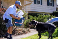Број напада паса на америчке поштаре у порасту