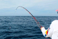 Рибари и научници остали затечени тајанственим створењем (ФОТО)