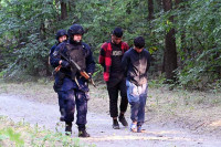 Muškarac uhapšen zbog krijumčarenja 31 migranta