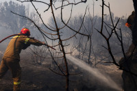 Букте шумски пожари на југу Грчке, погинуо ватрогасац (ВИДЕО)