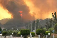 Vatromet sa jahte izazvao šumski požar u Grčkoj!