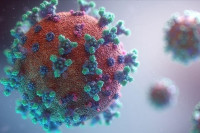 Preko 300 ljudi hospitalizovano zbog norovirusa u Italiji