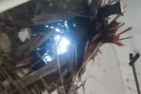 Drvo palo na kuću u Trebinju i probilo krov (VIDEO)