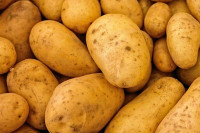 Veliki rast cijene krompira u Njemačkoj