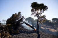 Nevrijeme izazvalo požare u zemlji, više od 12.000 udara gromova