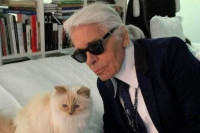 Kako Lagerfeldova mačka troši naslijeđene milione