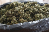 Полиција открила 28 кг марихуане у камиону на граници