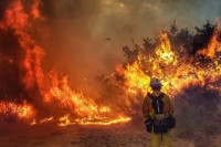 Bukti požar između Budve i Cetinja, teren nepristupačan za gašenje