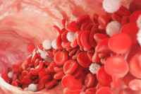 Japan počinje kliničko testiranje vještačkih crvenih krvnih zrnaca