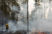 Шири се незапамћен пожар у Калифорнији, хиљаде ватрогасаца на терену