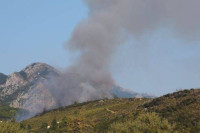 Četiri vatrogasna vozila gase šumski požar kod Sutomora