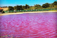 Znate li koja zemlja u regionu krije ljubičasto jezero? (FOTO)