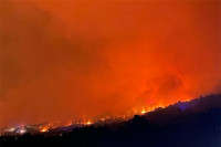 Gore hiljade hektara šume u regionu