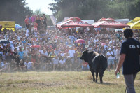 "Kočićev zbor" od 23. do 25. avgusta, pogledajte program