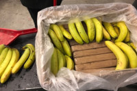 Kokain u pošiljci banana: Milionska zapljena u Solunu