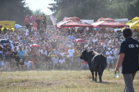 Usvojen program 59. 'Kočićevog zbora'