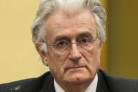 Karadžić tužio Vladu Velike Britanije