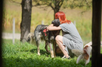 Građani uživali u igri s psima